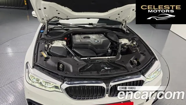 BMW Série 5 (G30) 530i xDrive M Sport Plus 2018 — photo 6 sur 20