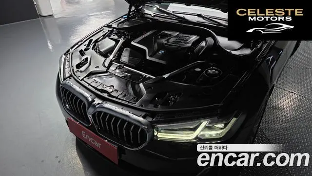 BMW Série 5 (G30) 530i Luxury 2021 — photo 6 sur 20