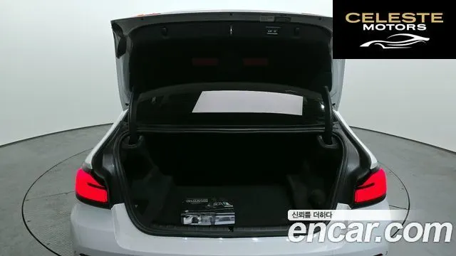 BMW Série 5 (G30) 520i Luxury 2023 — photo 18 sur 20