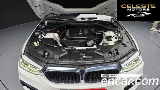 BMW Série 5 (G30) 520d M Sport Plus 2020 — photo 6 sur 20