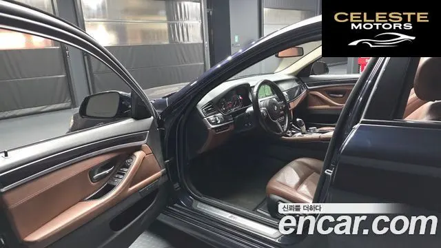 BMW Série 5 (F10) 520d M Aéro Dynamic 2016 — photo 10 sur 20