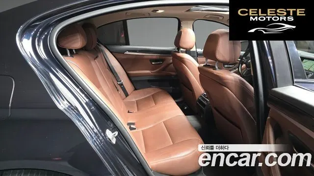 BMW Série 5 (F10) 520d M Aéro Dynamic 2016 — photo 12 sur 20