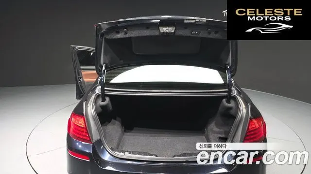 BMW Série 5 (F10) 520d M Aéro Dynamic 2016 — photo 20 sur 20