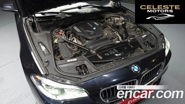 BMW Série 5 (F10) 520d M Aéro Dynamic 2016 — photo 6 sur 20