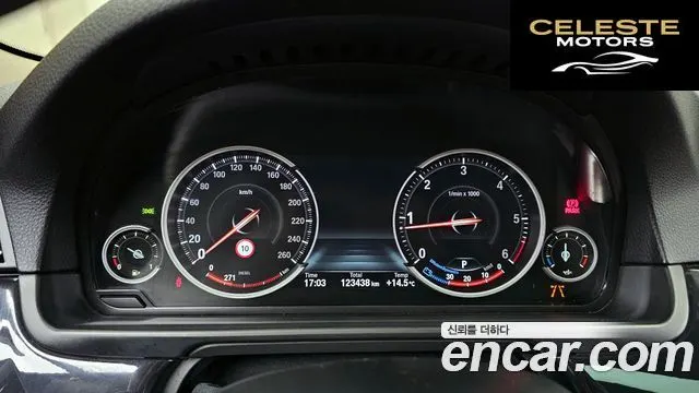 BMW Série 5 (F10) 520d M Aéro Dynamic 2016 — photo 8 sur 26