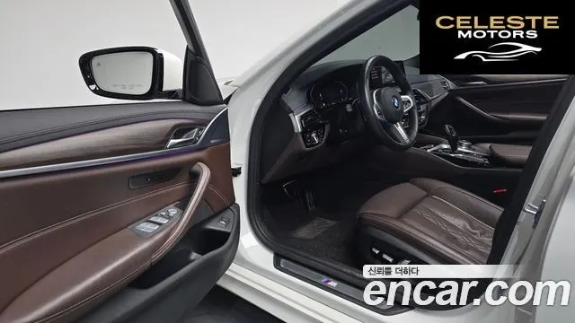 BMW Série 5 (G30) 520d M Sport Plus 2020 — photo 10 sur 20