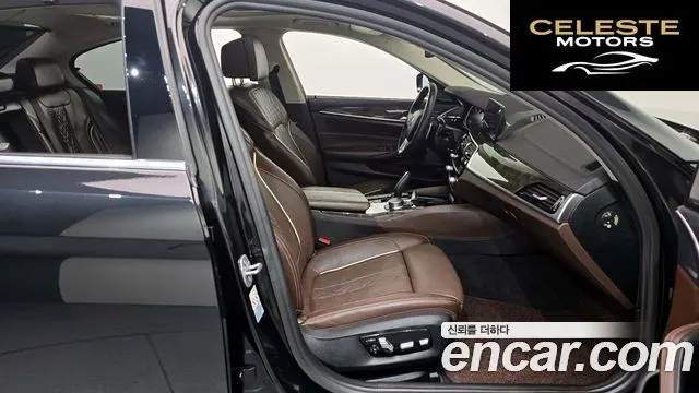 BMW Série 5 (G30) 530d Luxury Plus 2018 — photo 11 sur 20
