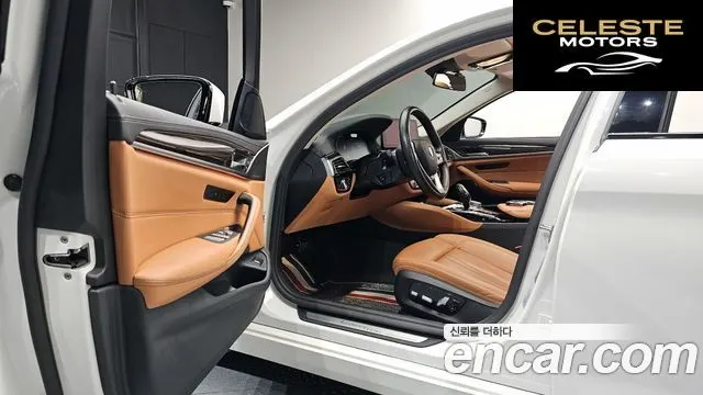 BMW Série 5 (G30) 520i Luxury 2021 — photo 10 sur 20