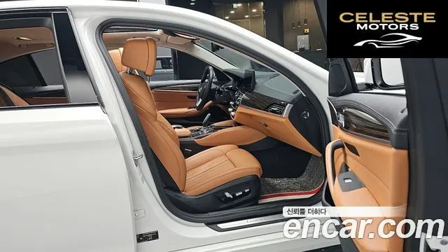 BMW Série 5 (G30) 520i Luxury 2021 — photo 11 sur 20