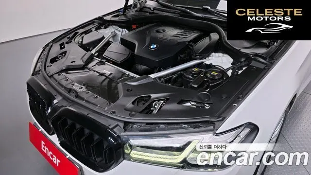 BMW Série 5 (G30) 520i Luxury 2021 — photo 6 sur 20