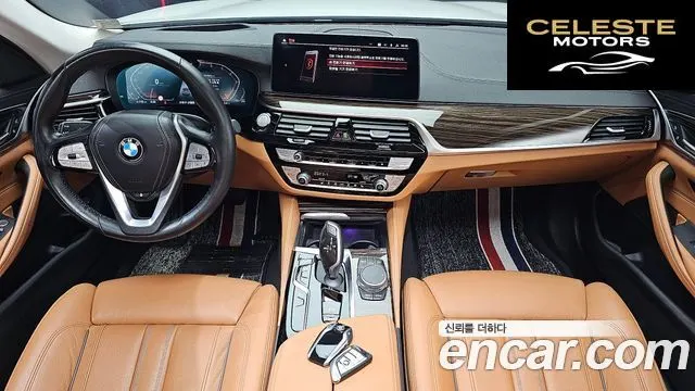 BMW Série 5 (G30) 520i Luxury 2021 — photo 7 sur 20