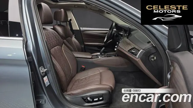 BMW Série 5 (G30) 520d Luxury Plus 2018 — photo 11 sur 20