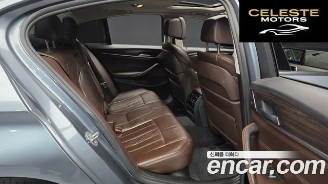 BMW Série 5 (G30) 520d Luxury Plus 2018 — photo 12 sur 20