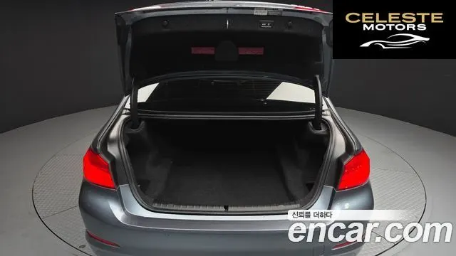 BMW Série 5 (G30) 520d Luxury Plus 2018 — photo 20 sur 20