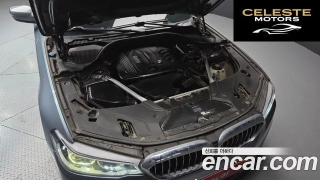 BMW Série 5 (G30) 520d Luxury Plus 2018 — photo 6 sur 20