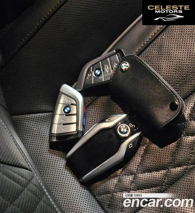 BMW Série 5 (G30) 530i xDrive Luxury Plus 2019 — photo 21 sur 27
