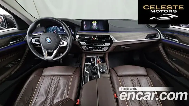 BMW Série 5 (G30) 530i xDrive Luxury Plus 2019 — photo 25 sur 27