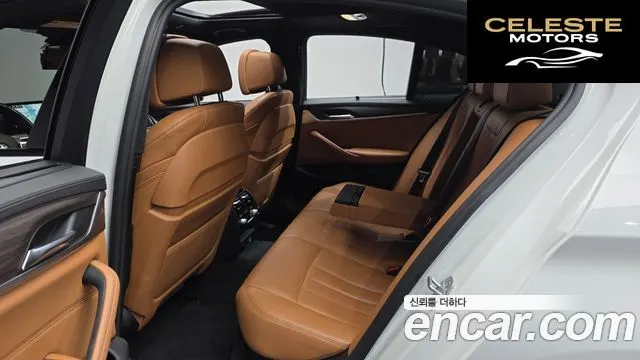 BMW Série 5 (G30) 520d M Sport Plus 2017 — photo 10 sur 20
