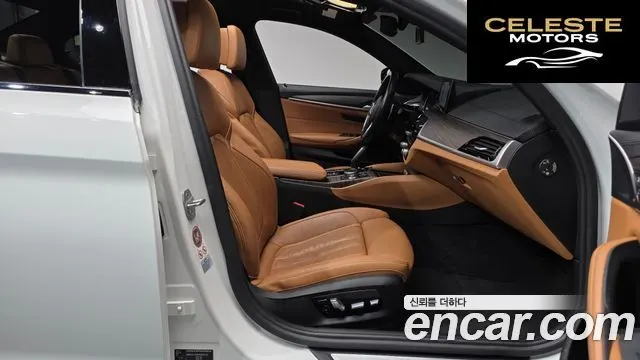 BMW Série 5 (G30) 520d M Sport Plus 2017 — photo 11 sur 20
