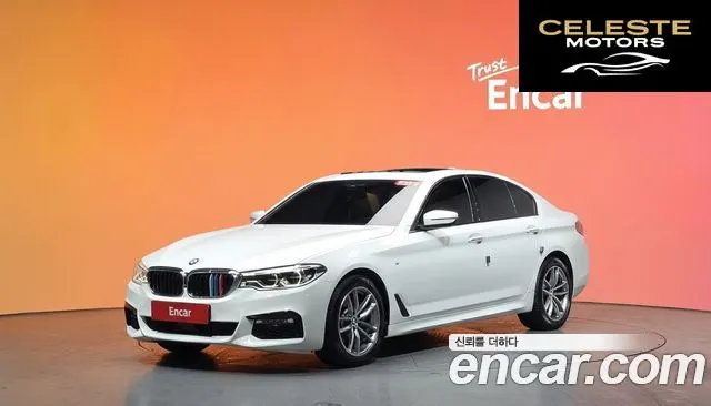 BMW Série 5 (G30) 520d M Sport Plus 2017 — photo 20 sur 20