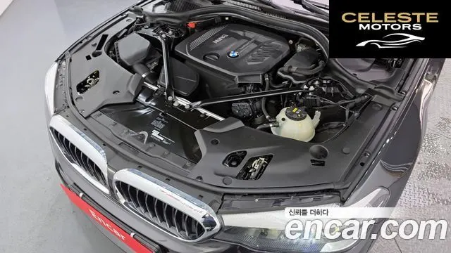 BMW Série 5 (G30) 520d M Sport Spécial Edition 2018 — photo 6 sur 26