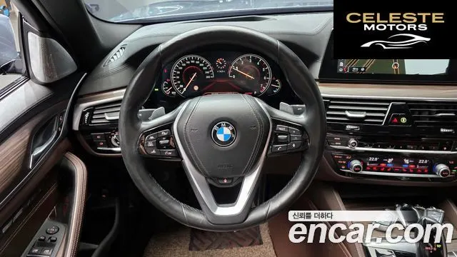 BMW Série 5 (G30) 530i M Sport Plus 2017 — photo 13 sur 20