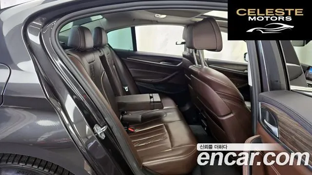 BMW Série 5 (G30) 520d xDrive Luxury Plus 2019 — photo 12 sur 20