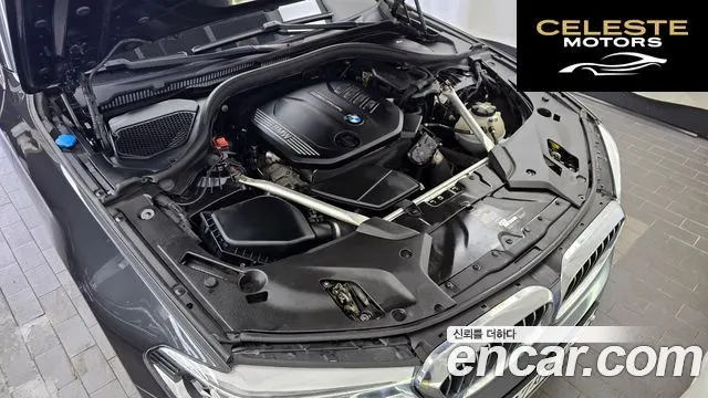 BMW Série 5 (G30) 520d xDrive Luxury Plus 2019 — photo 6 sur 20
