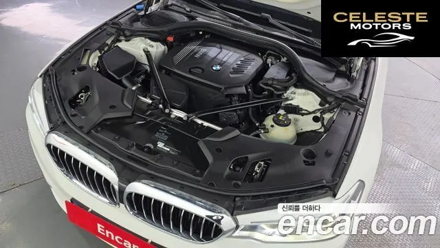 BMW Série 5 (G30) 520d Luxury Spécial Edition 2018 — photo 6 sur 20