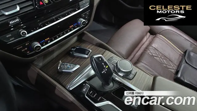 BMW Série 5 (G30) 530i xDrive Luxury Plus 2019 — photo 9 sur 20