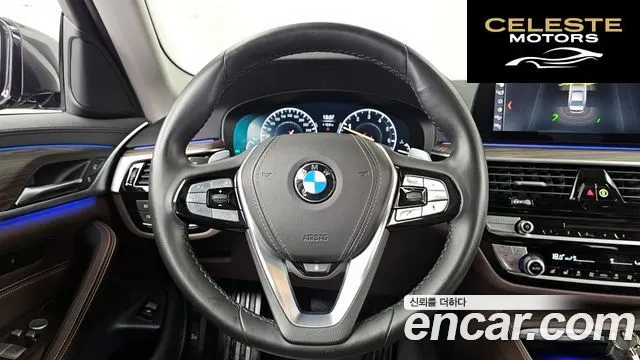 BMW Série 5 (G30) 530i xDrive Luxury Plus 2019 — photo 13 sur 27