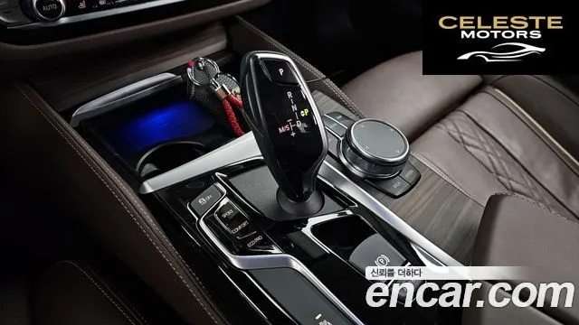 BMW Série 5 (G30) 530i xDrive Luxury Plus 2019 — photo 9 sur 27