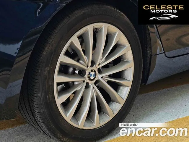 BMW Série 5 (G30) 520d Luxury Plus 2018 — photo 18 sur 26