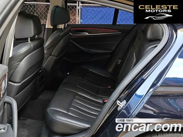 BMW Série 5 (G30) 520d Luxury Plus 2018 — photo 24 sur 26