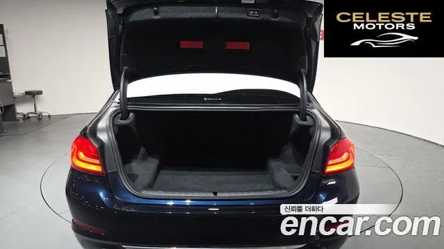 BMW Série 5 (G30) 520i Luxury 2020 — photo 20 sur 26