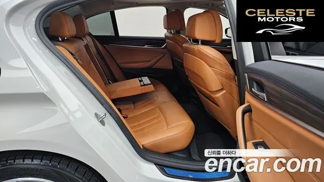BMW Série 5 (G30) 530e Luxury 2020 — photo 12 sur 20