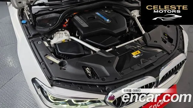 BMW Série 5 (G30) 530e Luxury 2020 — photo 6 sur 20