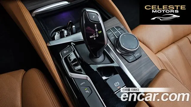 BMW Série 5 (G30) 530e Luxury 2020 — photo 9 sur 20