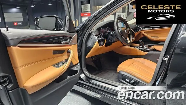 BMW Série 5 (G30) 520i Luxury 2019 — photo 11 sur 20