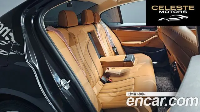 BMW Série 5 (G30) 520i Luxury 2019 — photo 12 sur 20