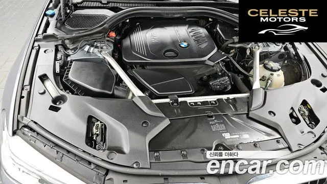 BMW Série 5 (G30) 520d xDrive M Sport Plus 2018 — photo 6 sur 33