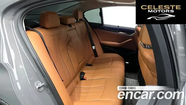 BMW Série 5 (G30) 520i Luxury 2022 — photo 12 sur 20
