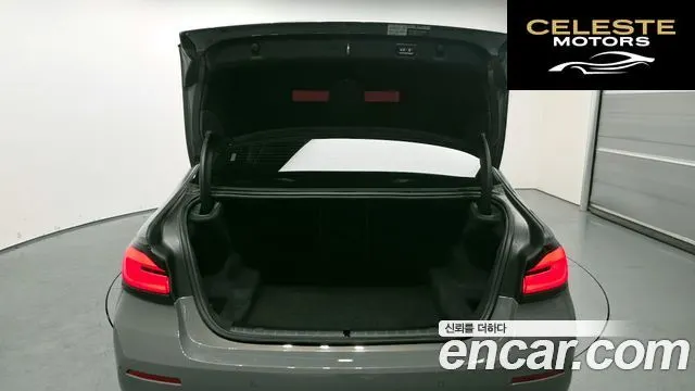 BMW Série 5 (G30) 520i Luxury 2022 — photo 20 sur 20