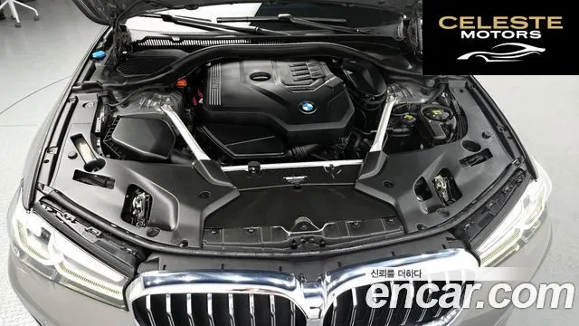 BMW Série 5 (G30) 520i Luxury 2022 — photo 6 sur 20
