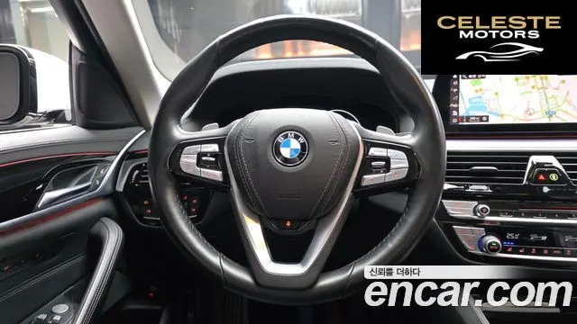 BMW Série 5 (G30) 530i Luxury Plus 2019 — photo 13 sur 20