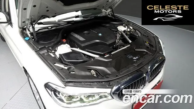 BMW Série 5 (G30) 530i Luxury Plus 2019 — photo 6 sur 20