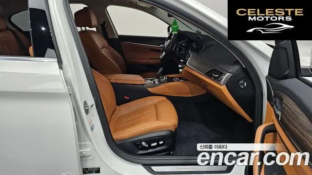 BMW Série 5 (G30) 530e Luxury 2020 — photo 11 sur 20