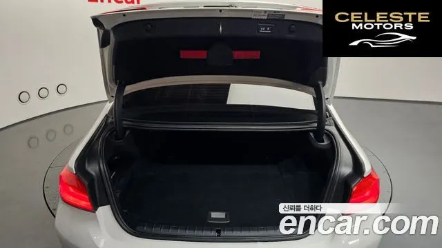 BMW Série 5 (G30) 530e Luxury 2020 — photo 20 sur 20