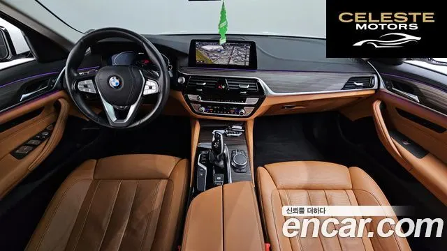 BMW Série 5 (G30) 530e Luxury 2020 — photo 7 sur 20