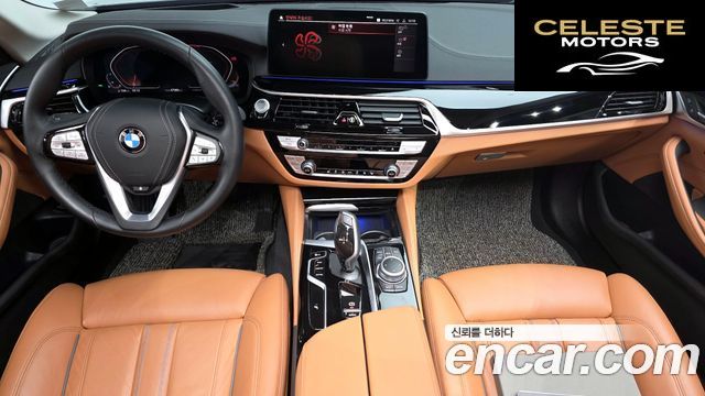 BMW Série 5 (G30) 520i Luxury 2022 — photo 7 sur 20